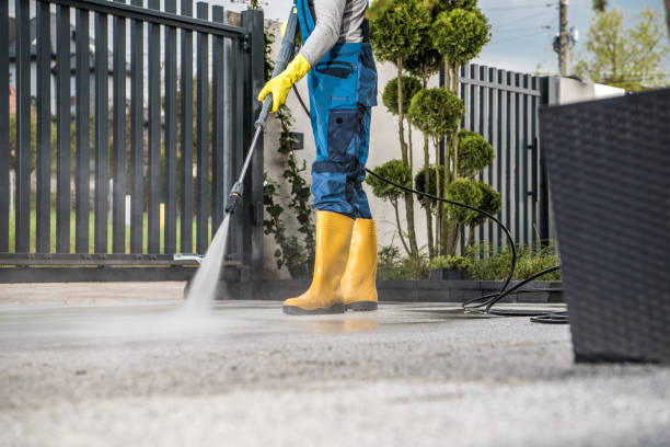 Best Roof Power Washing Services  in Three Rivers, CA