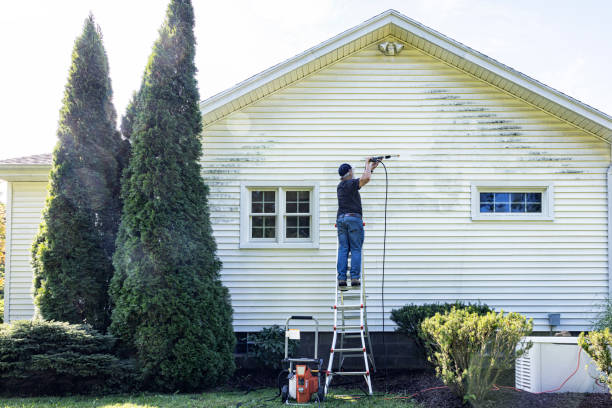 Best Affordable Pressure Washing  in Three Rivers, CA